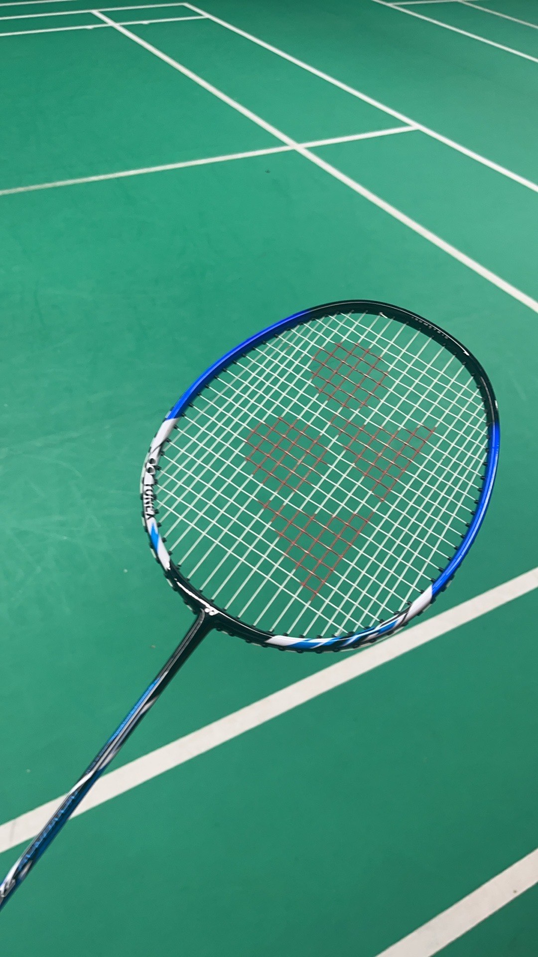 这不仅展示 这不仅展示