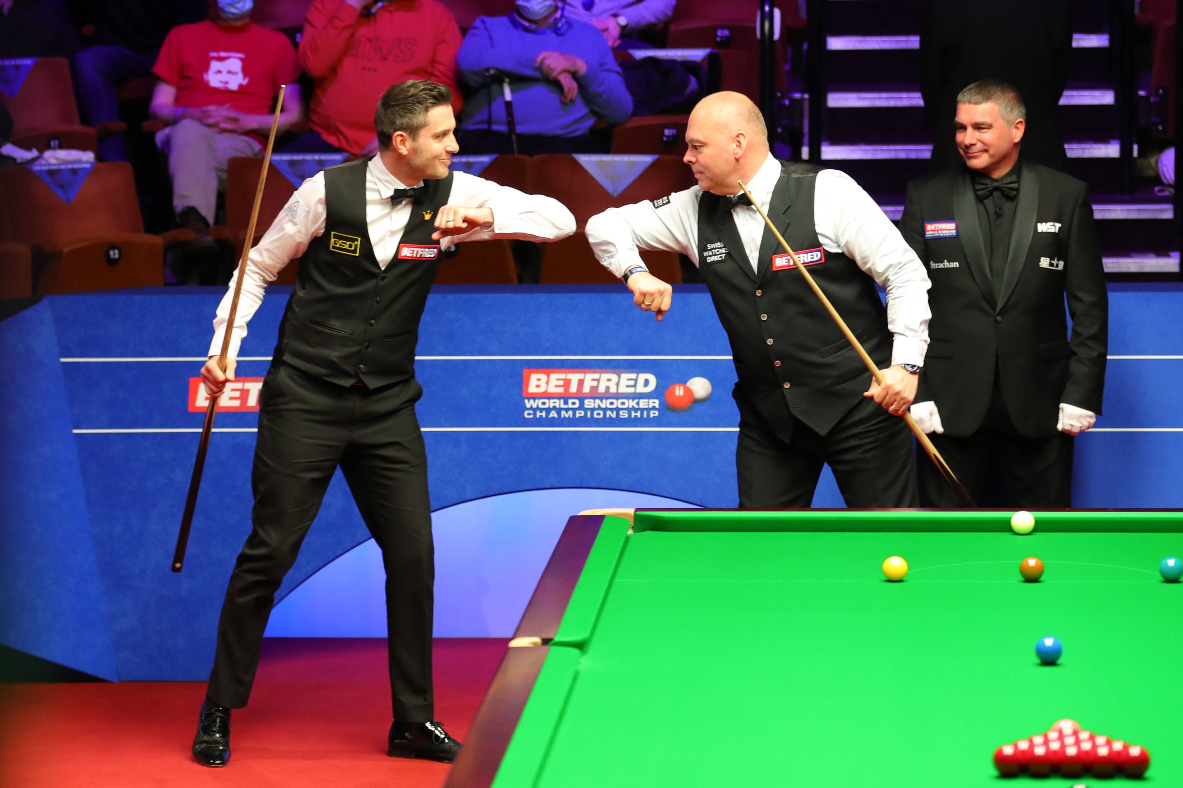 性的样本 性的样本