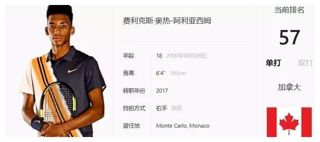 遭獵鷹急起 遭獵鷹急起